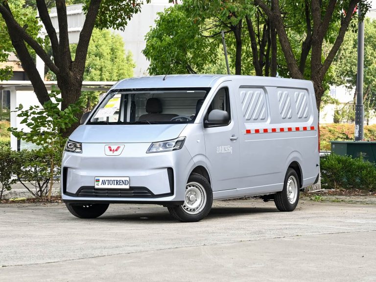 Wuling Yangguang L