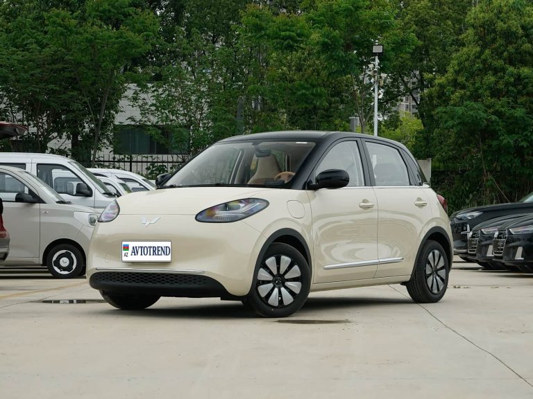 Wuling Bingo
